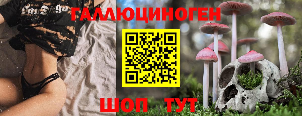 Галлюциногенные грибы Cubensis  Псилоцибиновые грибы мухоморы  Вход с VPN  Балашов 